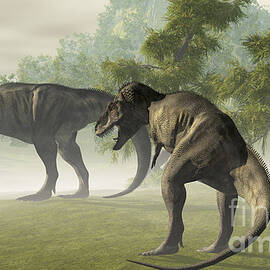 Two Tyrannosaurus Rex Rest In The Early by Corey Ford