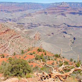 View from the South Kaibab Trail II by Julie Niemela