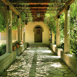 Vine Covered Walkway by Steven Ainsworth