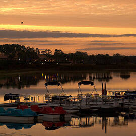 Westgate Lakes by Trish Tritz