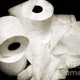 Where Is My Spare Roll HC V3 by Andee Design