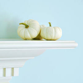 white pumpkins by HD Connelly