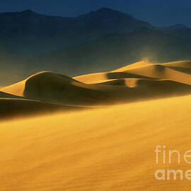 Death Valley Windswept 2 by Bob Christopher