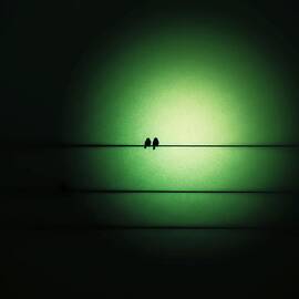 Within the Emerald Glow by Marianna Mills