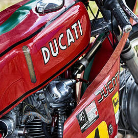  Racing Ducati  by Tim Gainey