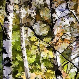 Birches by Alexey Bazhan