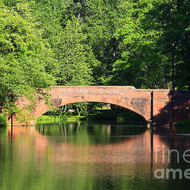 Bridge Reflection in the Spring