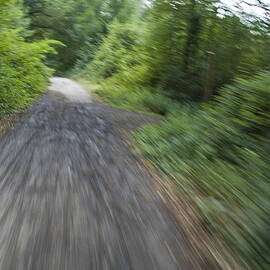 Dirt path and surrounding bush seen from a cyclist's point of view by Sami Sarkis Photography