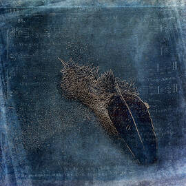 Flocking Feathers by Randi Grace Nilsberg
