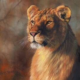 Lioness Portrait