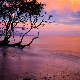 Maui Sunset by Christopher Johnson