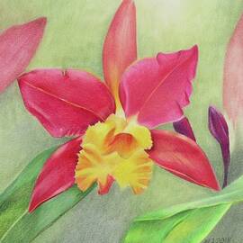 Orchid by Jenny Andreoli