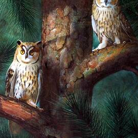 Owls In Moonlight