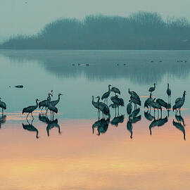Sunrise over the Hula valley 8 by Dubi Roman