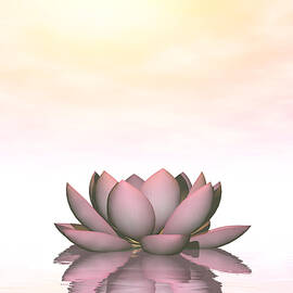 Lily lotus flower - 3D render by Elenarts - Elena Duvernay Digital Art