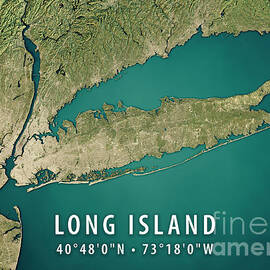 New York Long Island 3D Render Satellite View Topographic Map by Frank Ramspott