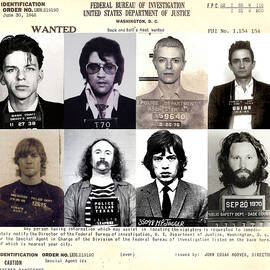 Rock and Roll's Most Wanted by Lee Dos Santos