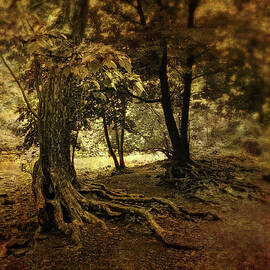 Rooted in Nature by Jessica Jenney