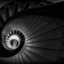 Spiraling Downward by Guy Shultz