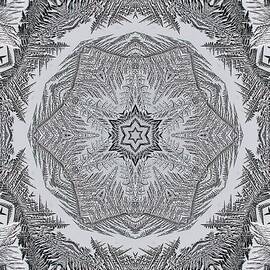 Fern Frost Mandala by J McCombie