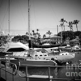 Lahaina Marina Maui Hawaii by Sharon Mau