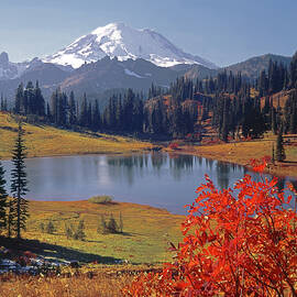 3M4825 Tipsoo Lake and Mt. Rainier by Ed Cooper Photography