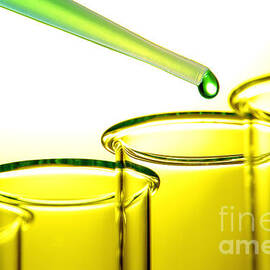 Laboratory Experiment in Science Research Lab by Olivier Le Queinec