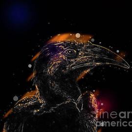 Red-billed Hornbill ,Samburu, Kenya by Humourous Quotes