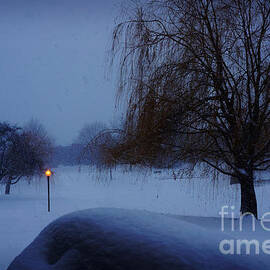 Winter Landscape  by Celestial Images