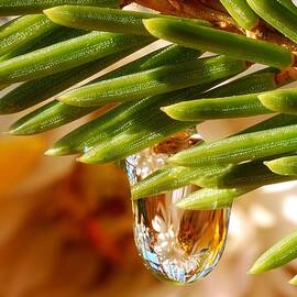 Christmas decoration in a drop of water  by Yuri Hope