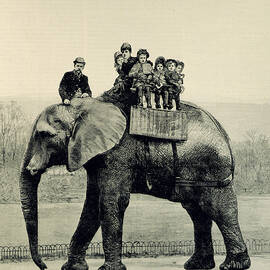 A Farewell Ride on Jumbo from The Illustrated London News by English School
