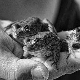 A Hand Full by Sue Capuano