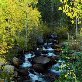 A Quiet Place In Autumn by John De Bord