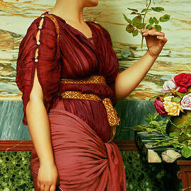 A red, red rose by Godward by John William Godward