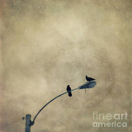 A Short Moment by Priska Wettstein