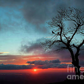A Virginia Kind of Sunrise by Darren Fisher