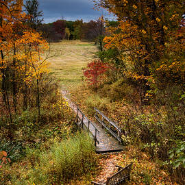 A Walk in the Park I by Tom Mc Nemar