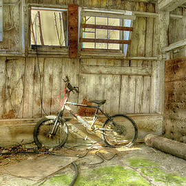 Abandoned Bike in the Barn by Gale Miko