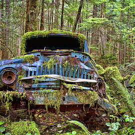 Abandoned Car in the Forest by Peggy Collins