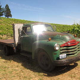 Chevy Truck Abandoned in the Vines by Michael Riley