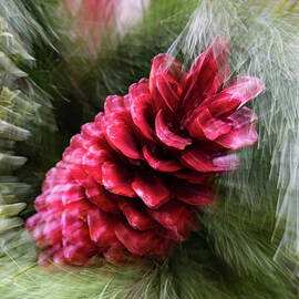 Abstract Christmas - a Single Pine Cone Blast