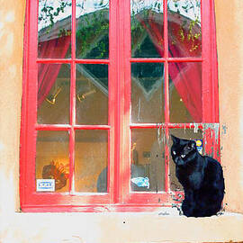 Adobe Window with Mojo