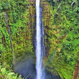 Akaka Falls Big Island by DJ Florek