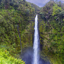Akaka Falls by Bill and Linda Tiepelman