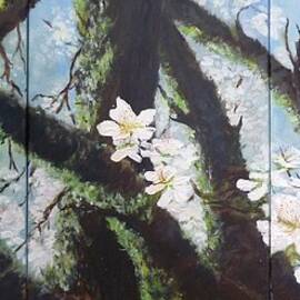 Almond Blossom Triptych by Lizzy Forrester
