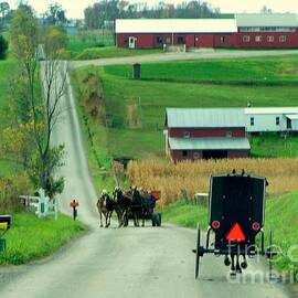 Amish horse and buggy farm by Charlene Cox