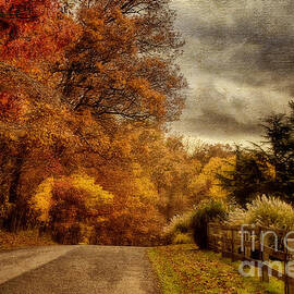 And The Seasons They Go Round and Round by Lois Bryan