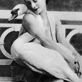 Anna Pavlova with her pet swan Jack, 1905 by English School
