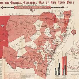 Antique Maps - Old Cartographic maps - Antique Electoral and Political Map of New South Wales, 1892