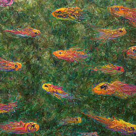 Aquarium by James W Johnson